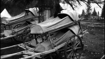 Баронесса против войны