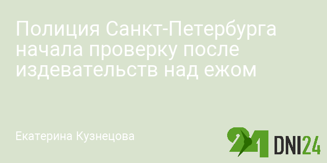 Полиция Санкт-Петербурга начала проверку после издевательств над ежом
