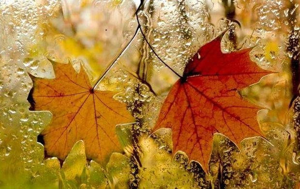 Важные дела и строгие запреты народного праздника 25 сентября 2023 года