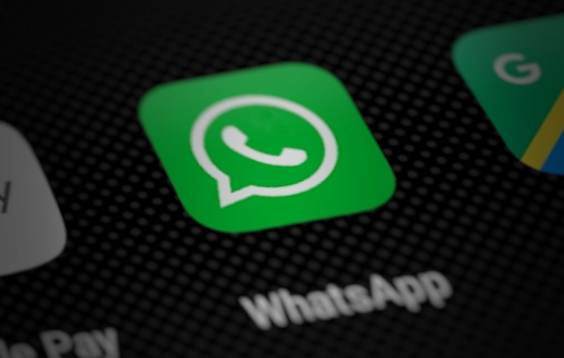 Учителям в Екатеринбурге запретили связь с родителями в Telegram и WhatsApp