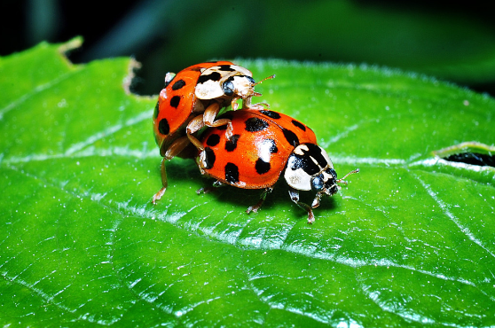 В Китае компания потребовала от сотрудницы присылать фотоотчеты о каждом сексе