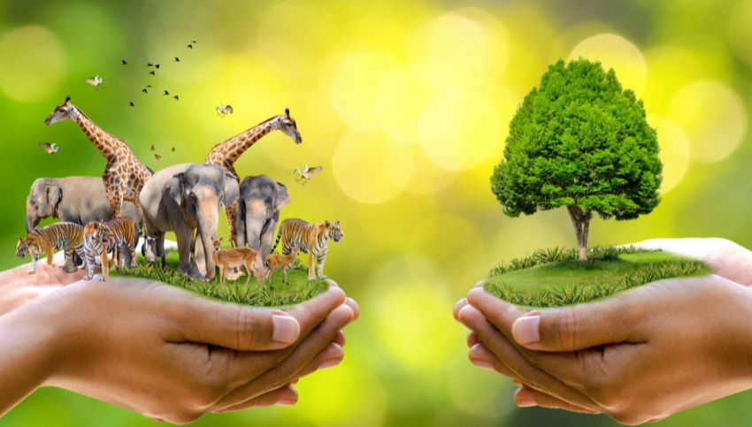 Какие праздники отмечают 6 октября 2023 года в России и мире