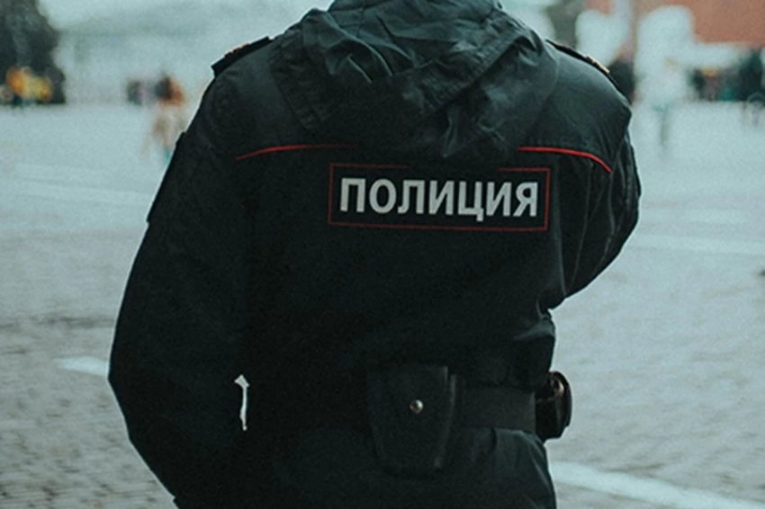 ФССП: более 80 тысяч мигрантов принудительно выдворили из РФ в 2024 году