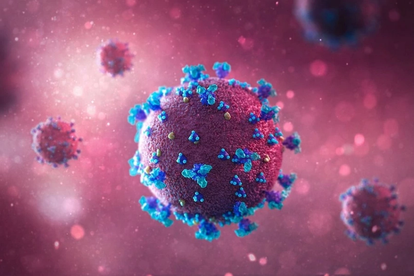 Тяжесть течения COVID у пожилых женщин связана с количеством лейкоцитов в крови