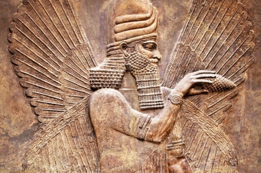 Вживляли клетки в тело женщины: В Сети обсуждают версию шумеров о создании человека разумного