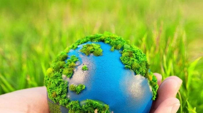 В воскресенье 30 марта 2025 года отмечается несколько праздников, в том числе и День Земли