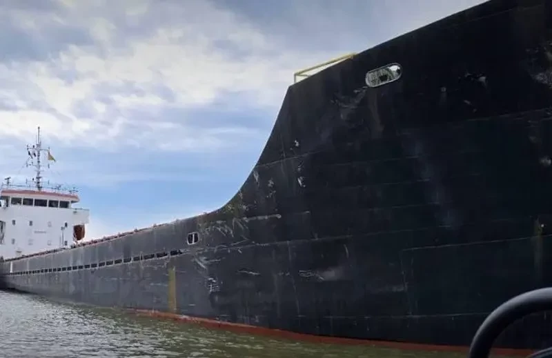 Украина захватила в Чёрном море сухогруз, обвинив его в вывозе «украинского зерна» из «оккупированного Крыма»