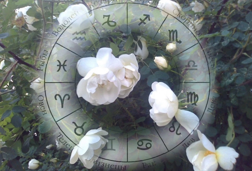 Будет новая работа или прогресс в любви? Гороскоп на неделю с 21 по 27 апреля