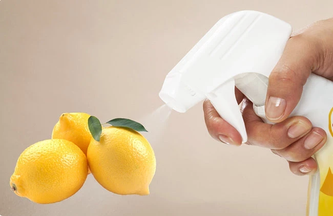 Безопасные и дешевые средства, которые помогут избавиться от муравьев