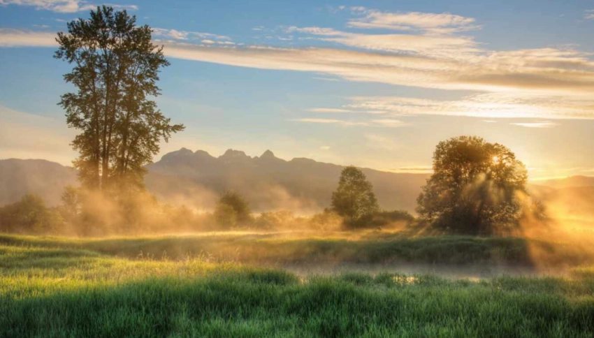 Тимофеев день 23 июня 2025 года богат приметами, поверьями и пророческими знамениями