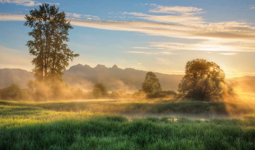 Погоду на ближайшее время и осень можно узнать по приметам и повериям на 27 июля 2025 года